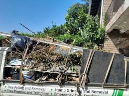 Best Yard Waste Removal  in Cutlerville, MI